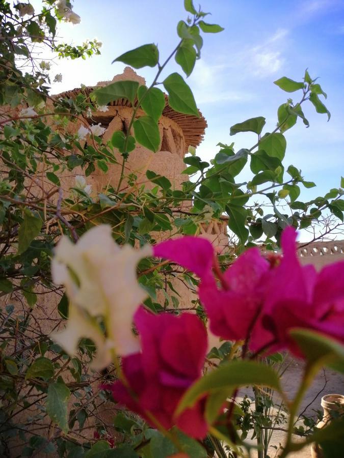 La Gazelle Bleue Hotel Merzouga Eksteriør billede
